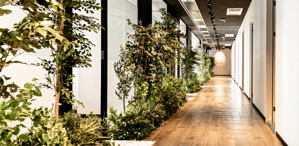 【経理財務リーダー候補】リモートワーク・フレックス制度有り！テクノロジーFast50に2年連続選出！日本最大規模のインフルエンサーマーケティングIPO準備企業の画像