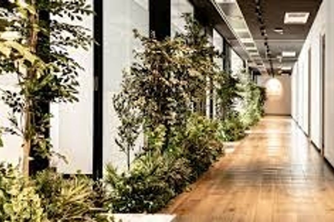 【経理財務】マネージャー候補...の画像