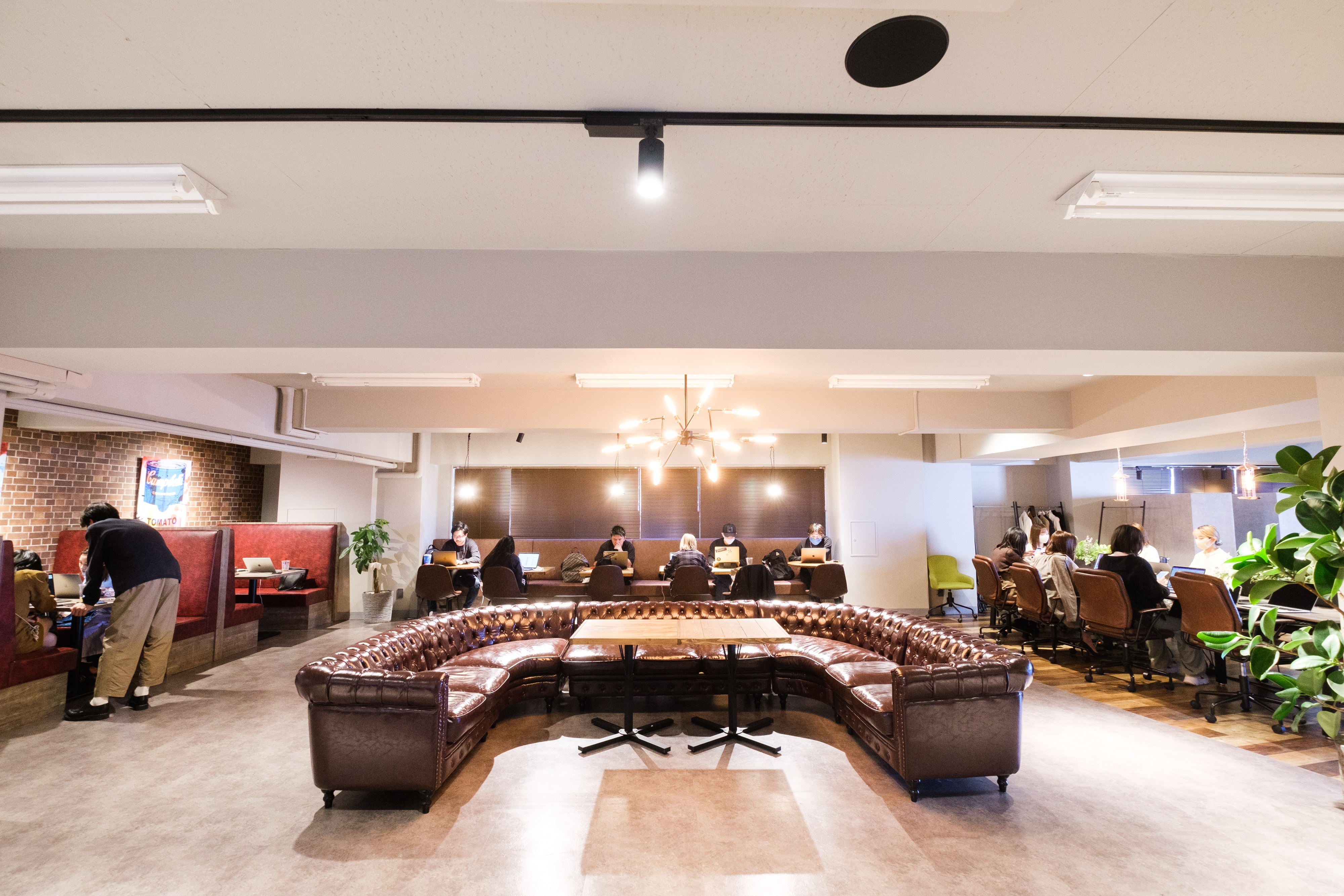 【経理】売上伸長昨対比250％！インフルエンサーを活かしたマーケティング支援！インフルエンサーと企業の懸け橋となるIPO準備企業の画像