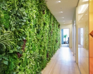 【税理士補助】実務経験1年半以上必須！2019年法人化、年商数十億円の企業も担当できる税理士法人の画像