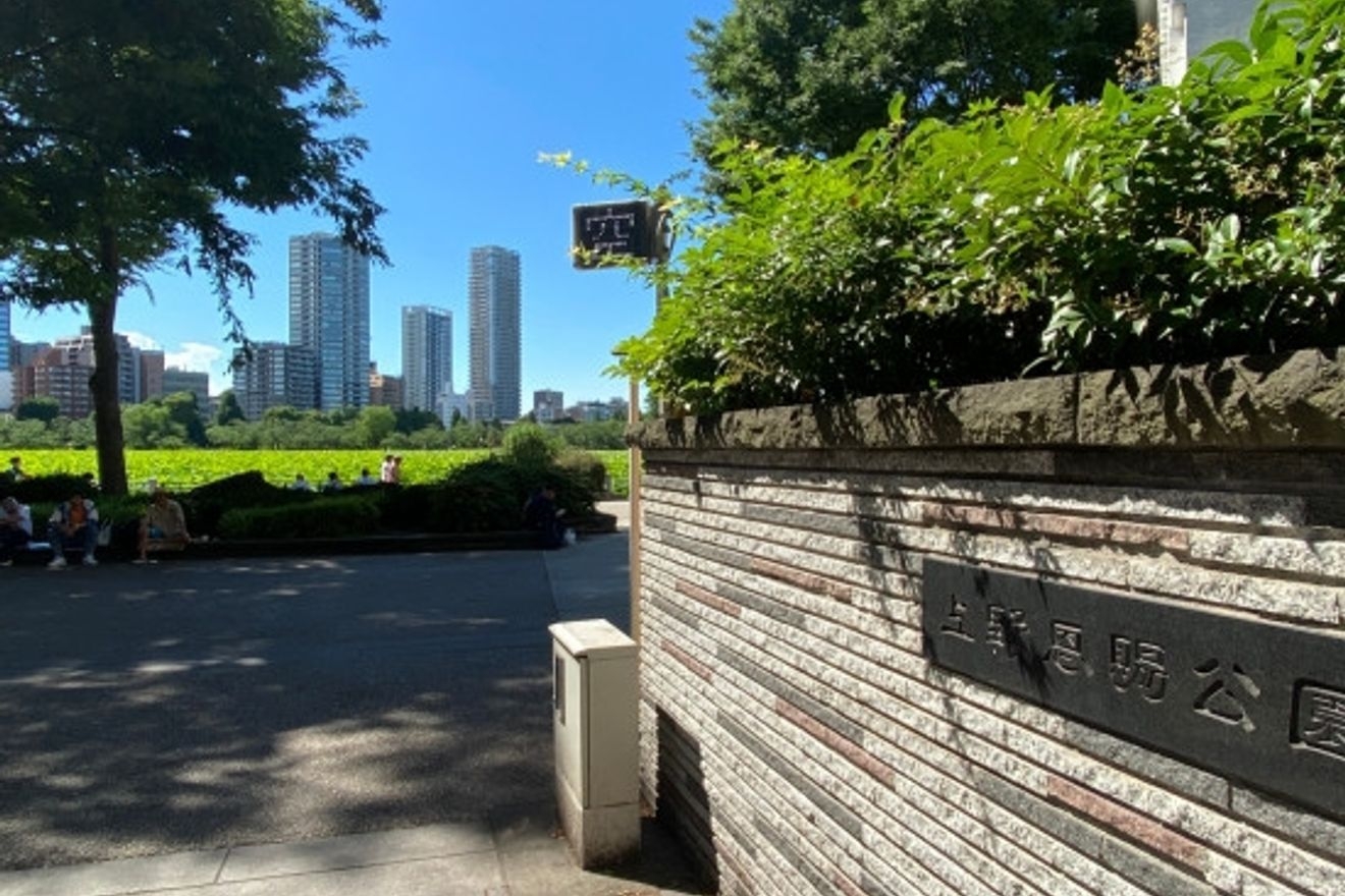 【税務会計】スタッフ募集！実...の画像