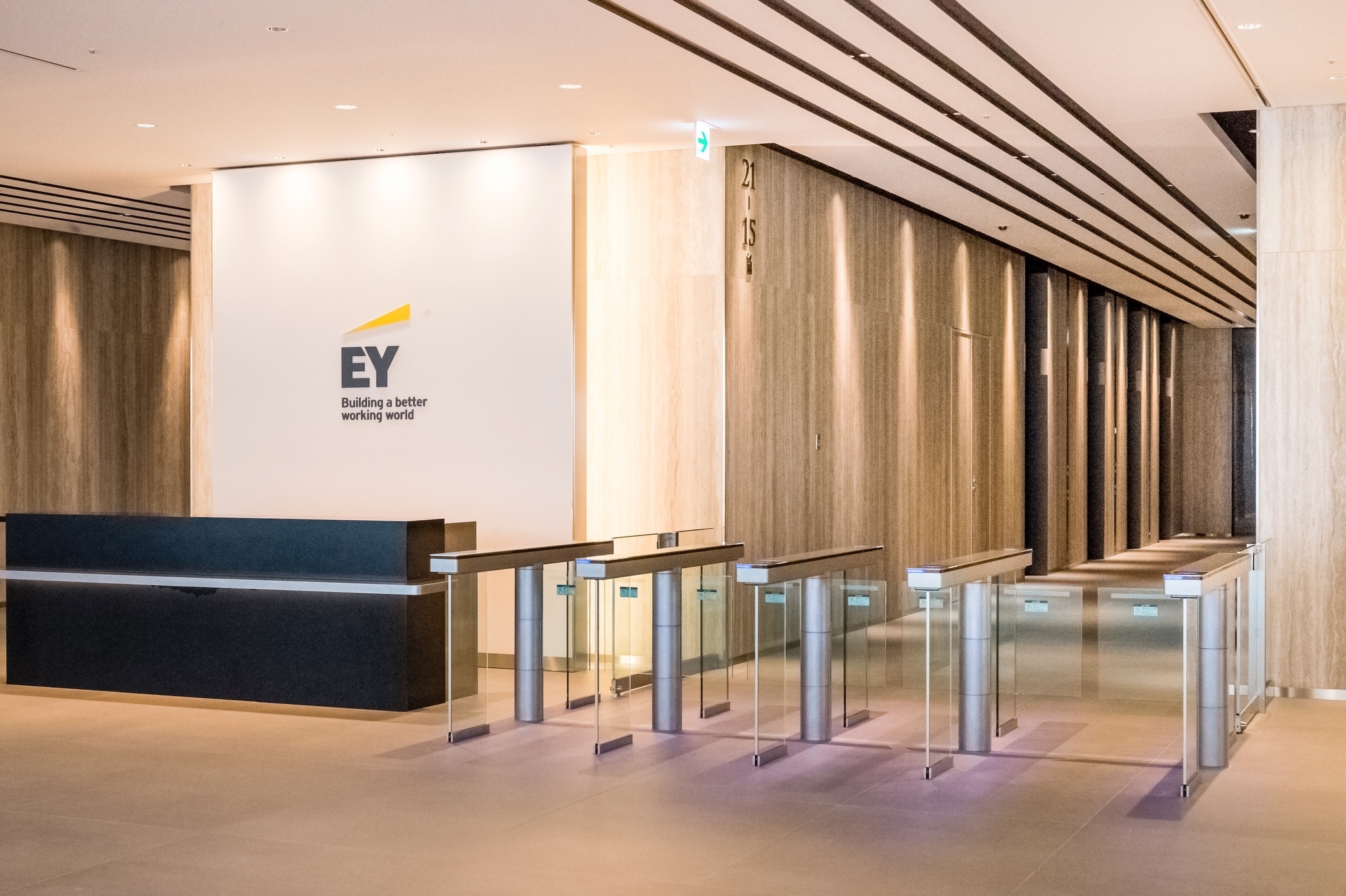 【東京説明会】EY税理士法人説明会｜税務知識や英語を活かせるプロフェッショナルに｜東京からグローバルに活躍！の画像