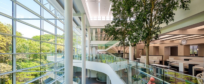 【経理】英語（ビジネスレベル）を使用する機会有！年間4000以上の新製品を生み出す独立系Tire１サプライヤーの画像