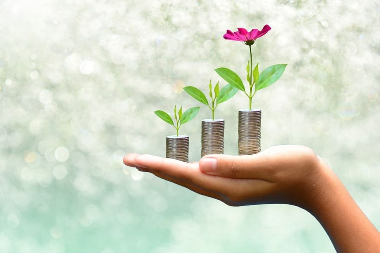 補助金適正化法とは?補助金申請の前に知りたい法律