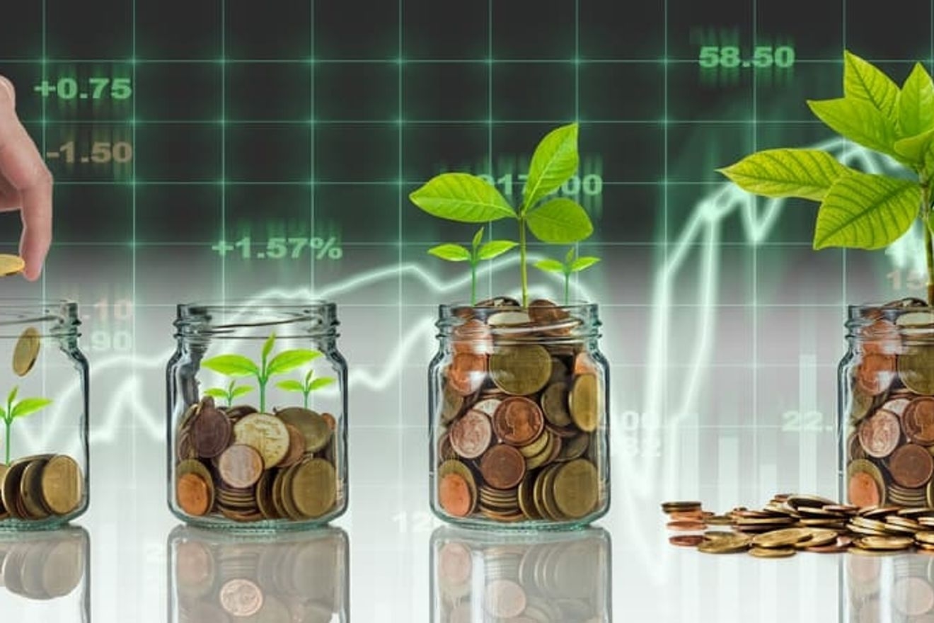 学校法人の基本金とは?概念や種類、資本金との違いを解説