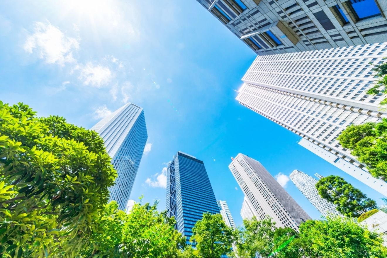 独立開業税理士の年収は?勤務税理士との違いもご紹介!