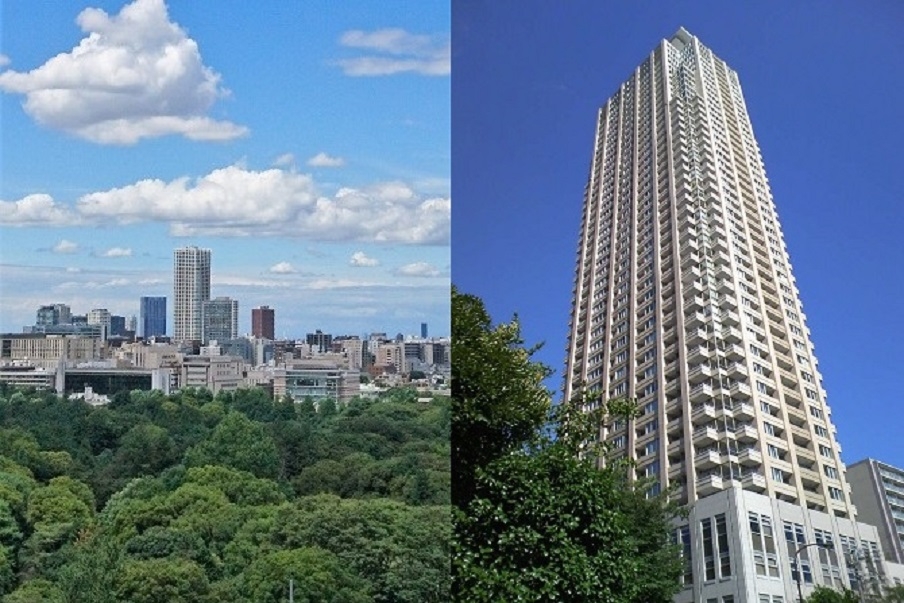 【税務スタッフ募集】スキルアップの仕組みあり！特殊分野もバランスよく経験可能！青山一丁目駅徒歩2分、眺めのよいタワーオフィス！テレワーク推進！税理士資格取得を応援する税理士事務所の画像