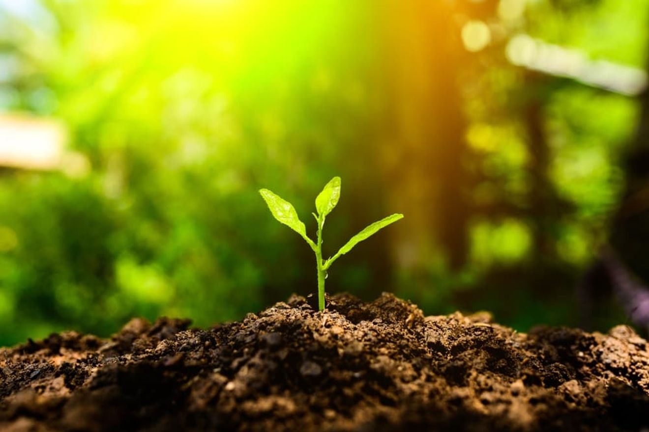 社内ベンチャーとは?導入するメリットや成功例をまるごと解説!