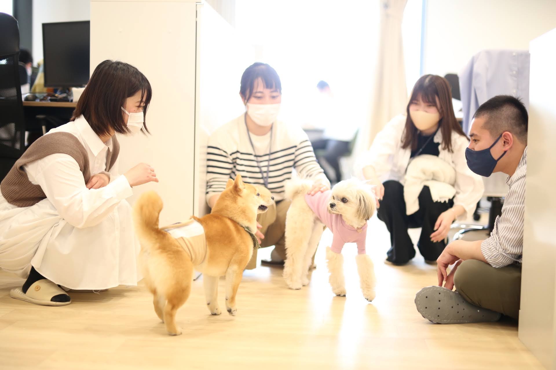 【経理】財務経理リーダー候補募集！リモートワーク・フレックスタイム！会員愛犬数25万頭を突破！国内フレッシュペットフード売り上げNo.1を誇り、3期連続100%成長を継続するIPO準備企業の画像