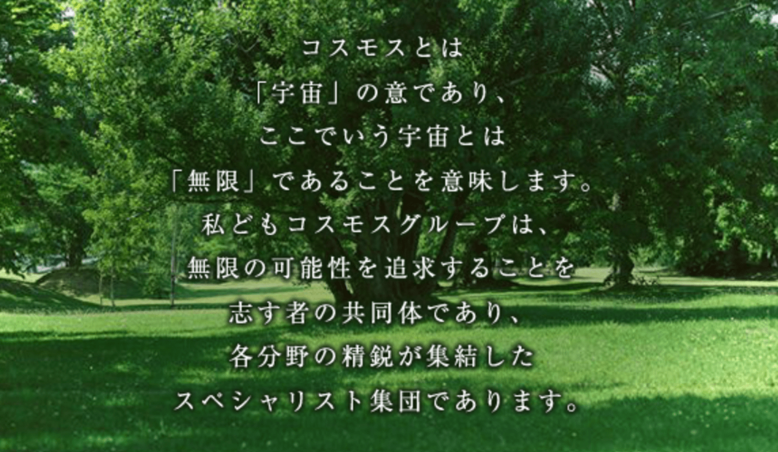 未経験から入社した先輩も多数...の画像