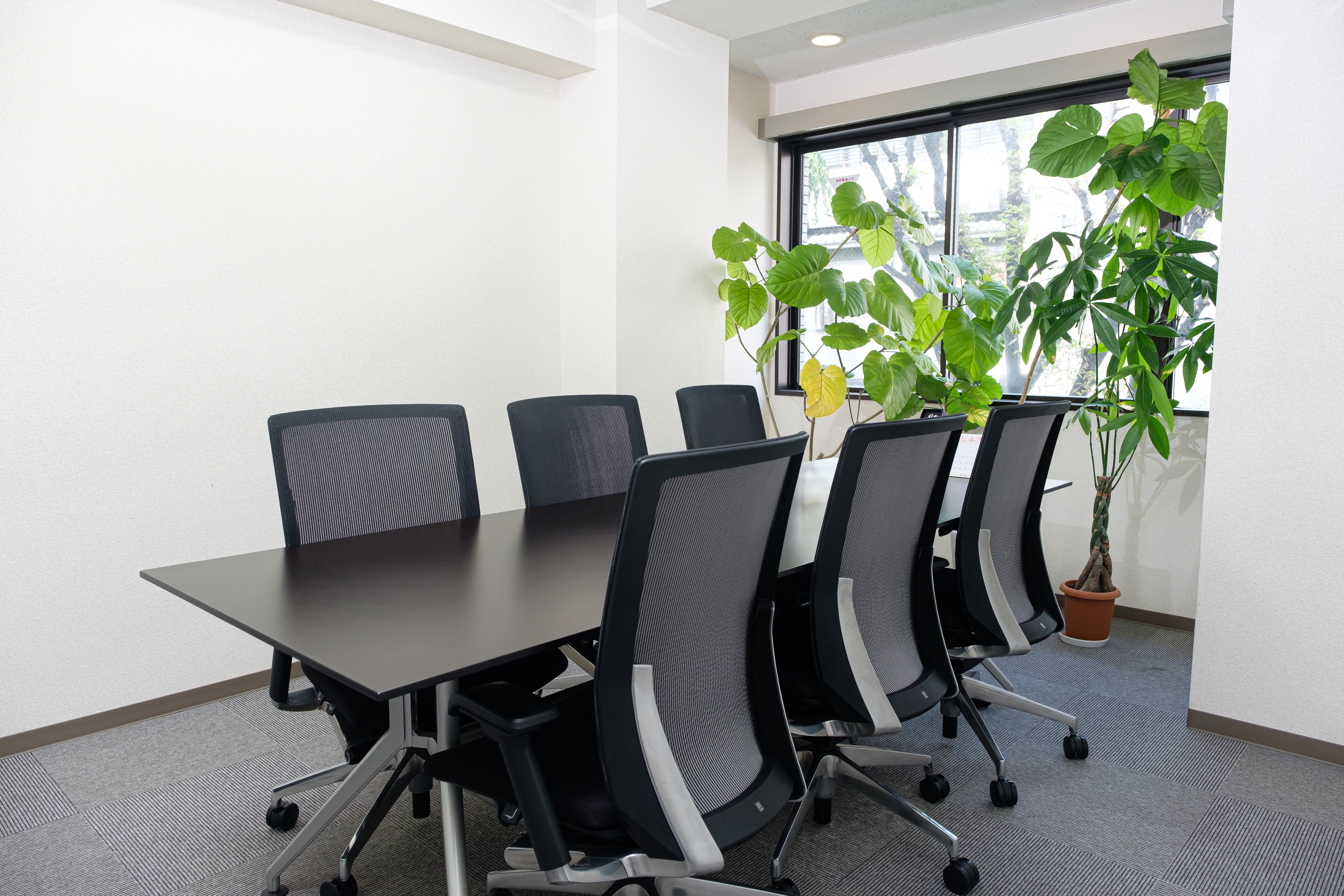 【税務会計】週2回リモートあり！受験や独立も支援します！明るい先生のもとで1から学べる少数精鋭の税理士事務所の画像