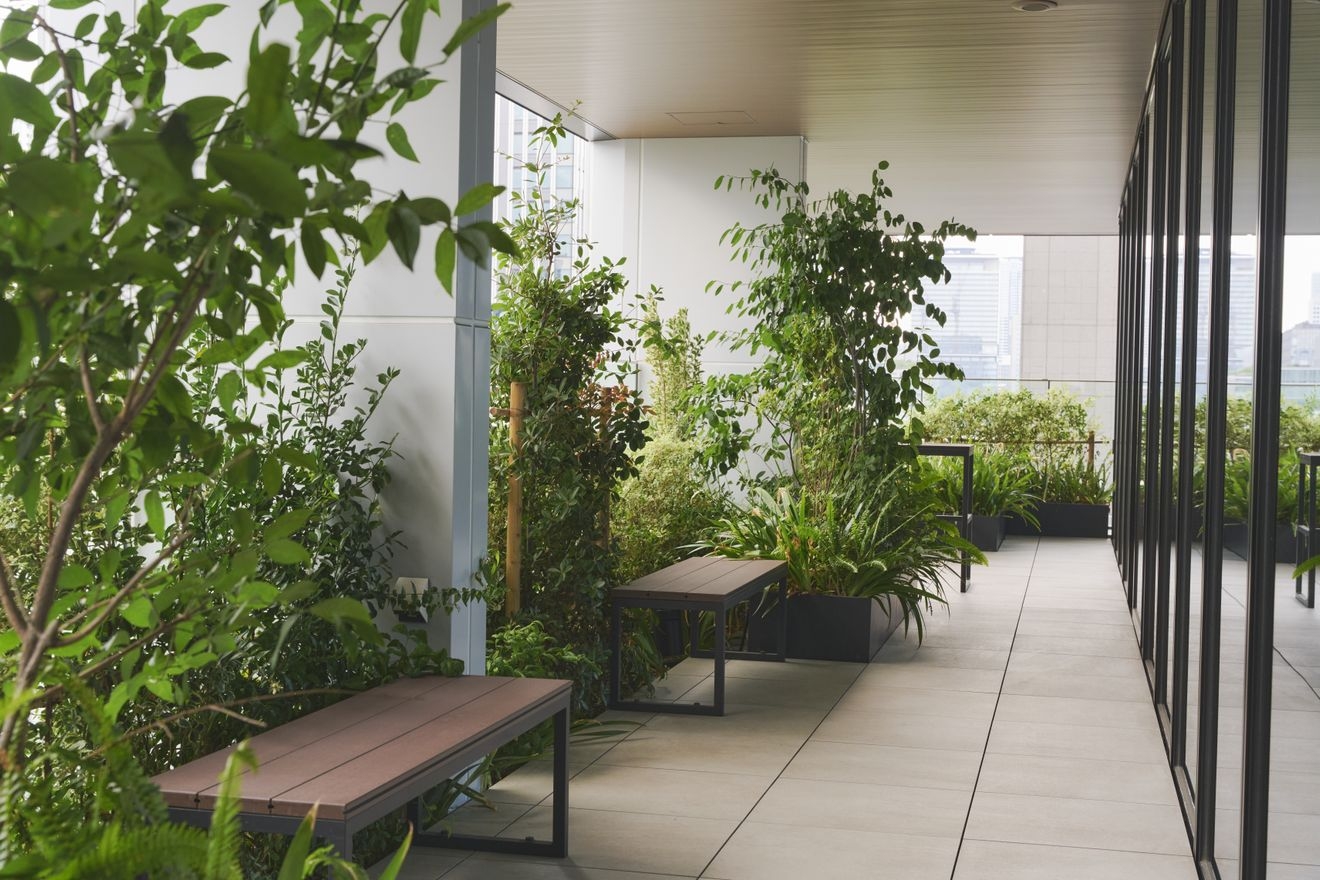 【税理士補助】科目合格必須！...の画像