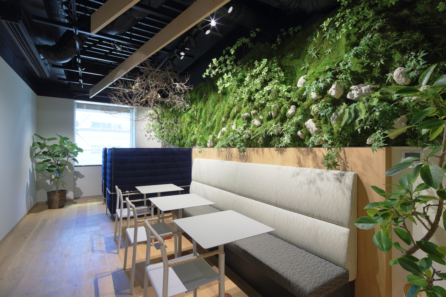 【経理リーダー候補】年間340万人が利用する「サンプル百貨店」を運営！／グロース上場グループの安定基盤／サブスク×ECで日常消費を変えるライフスタイルマーケティング企業の画像